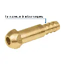 Característica