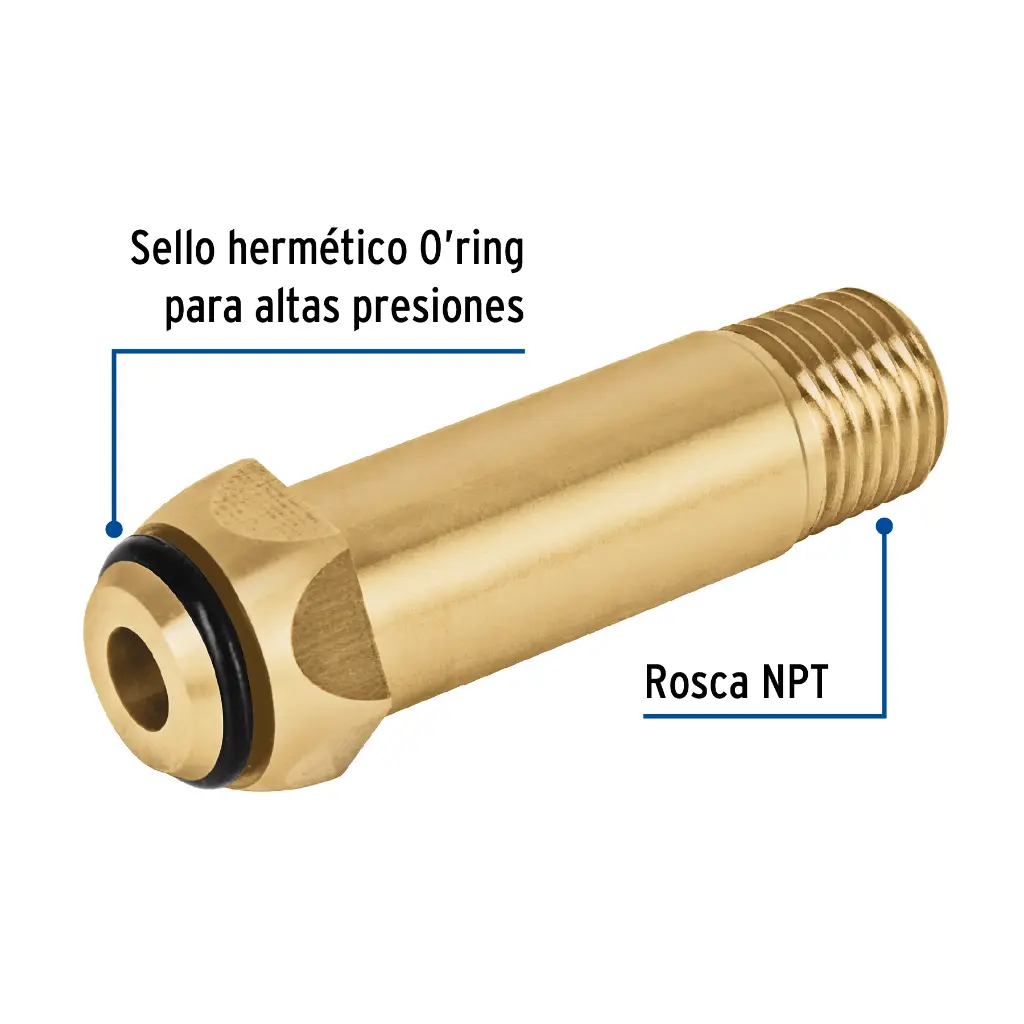 Características