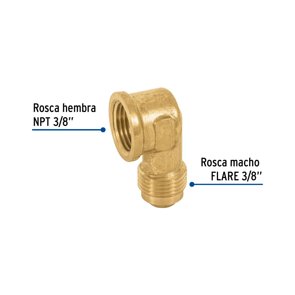 Características