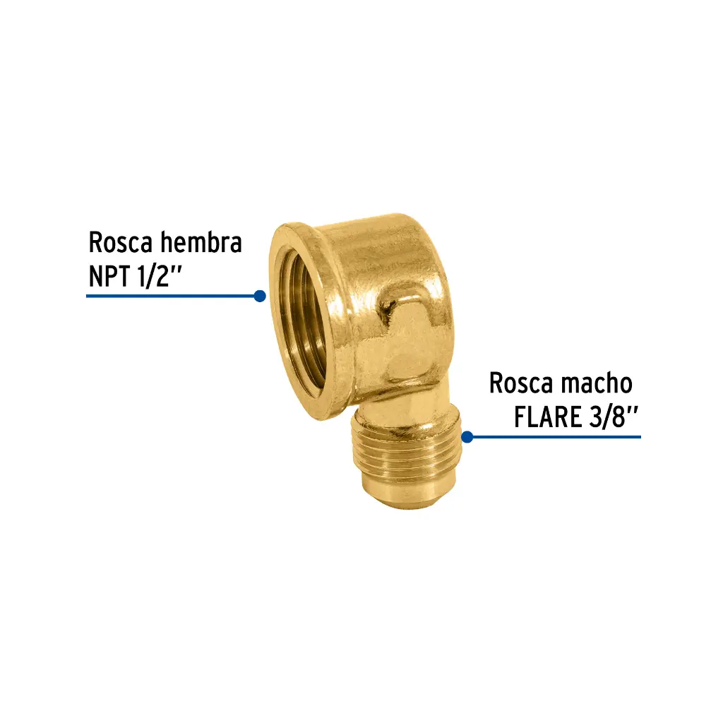Características