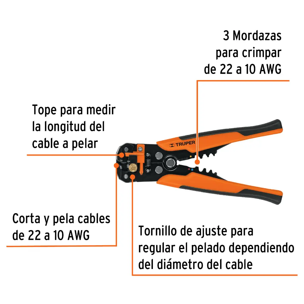 Caracteristicas