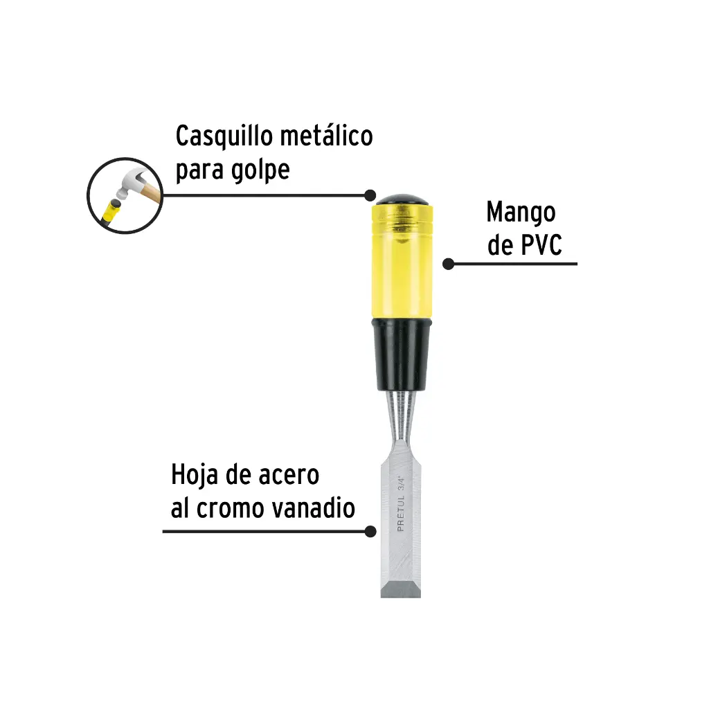 Características