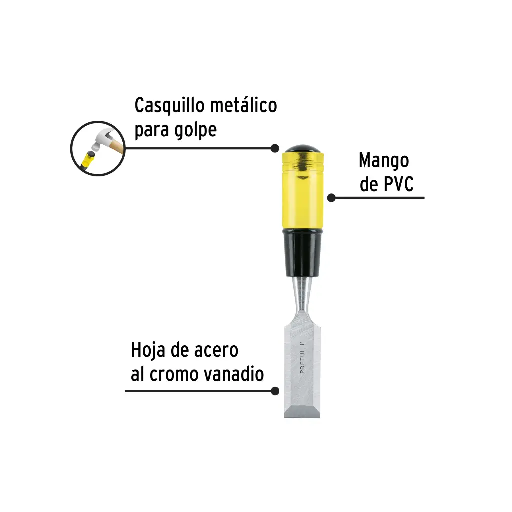 Características