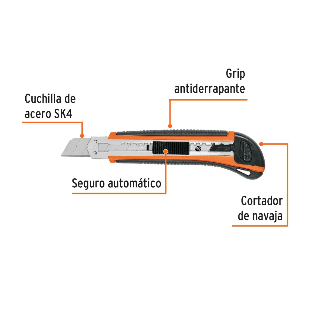 Caracteristicas