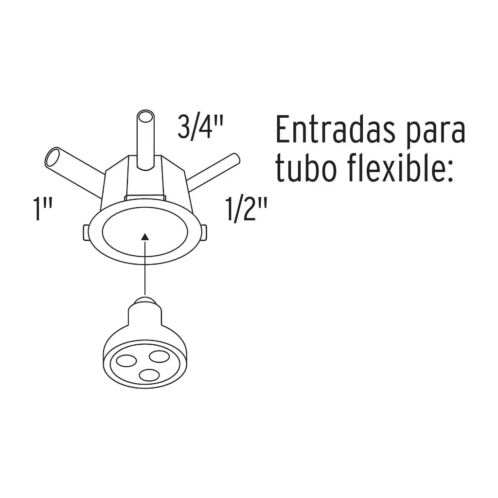 Medidas