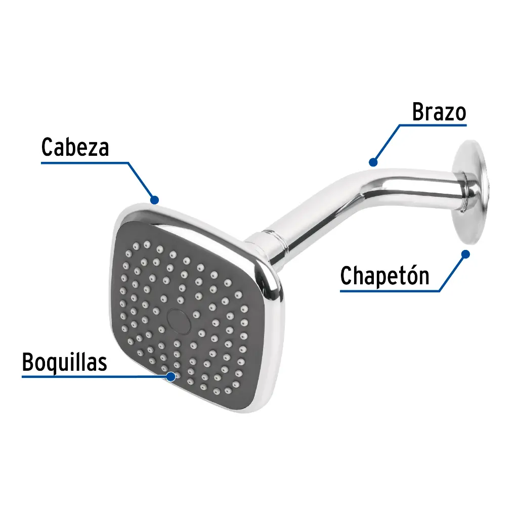Características