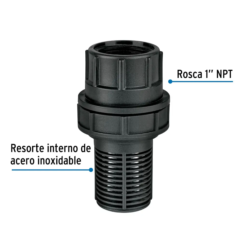 Características