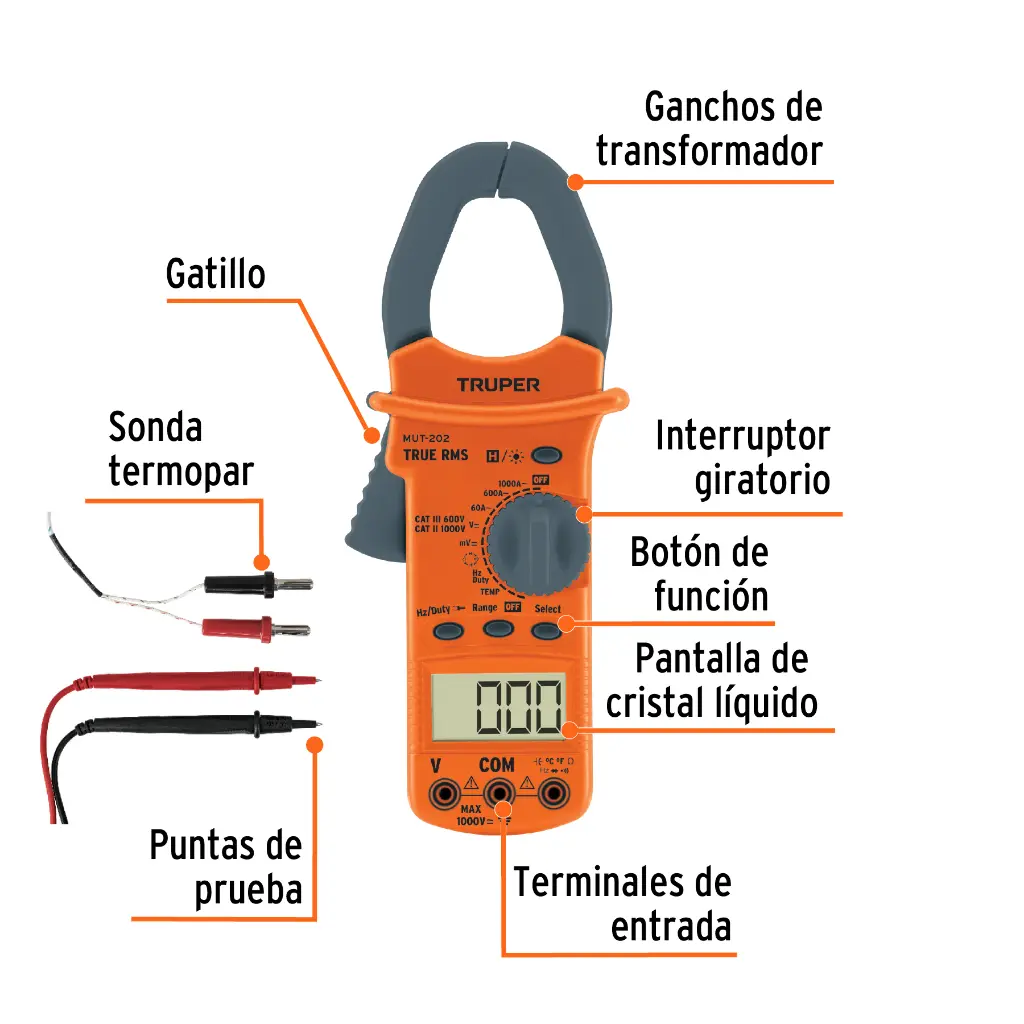 Características