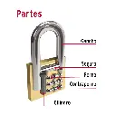 Partes