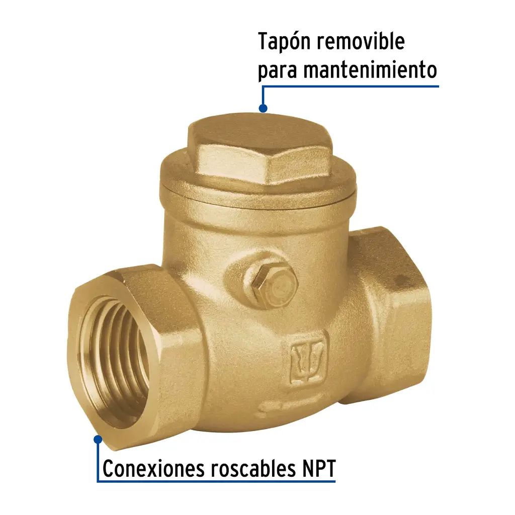 Características