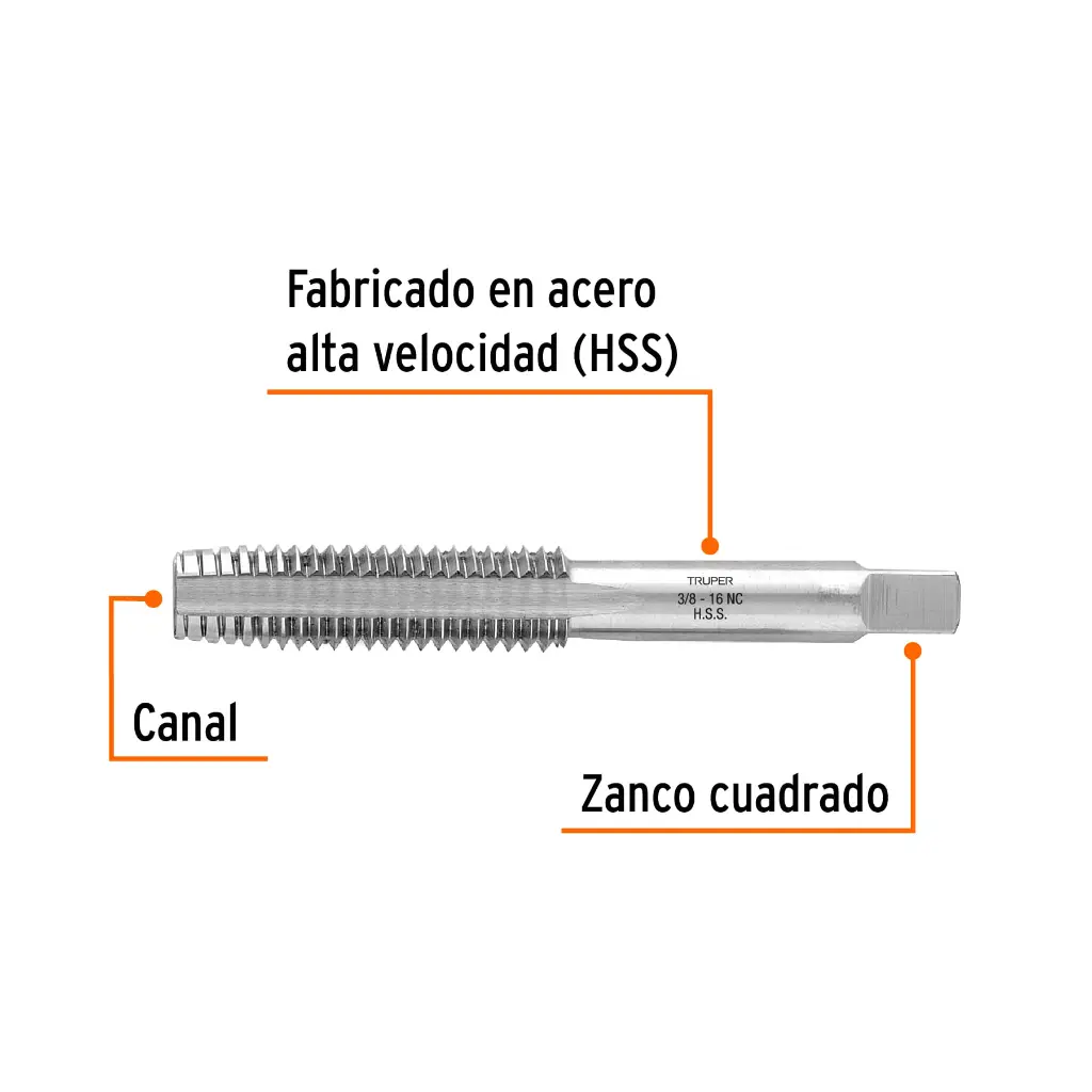 Características