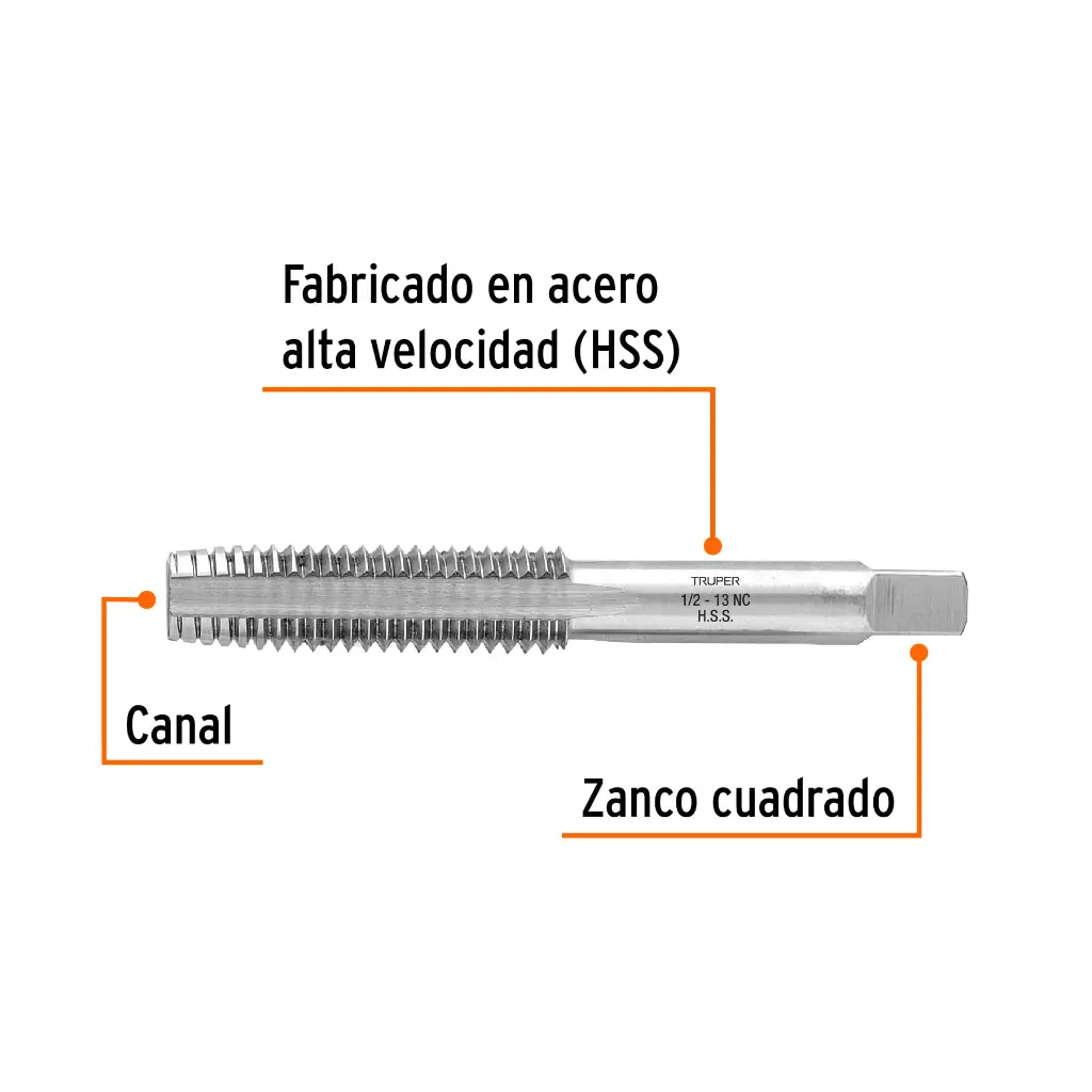 Características