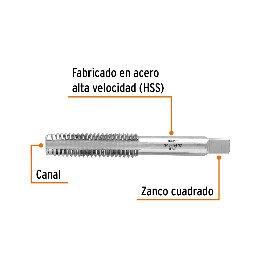 Características
