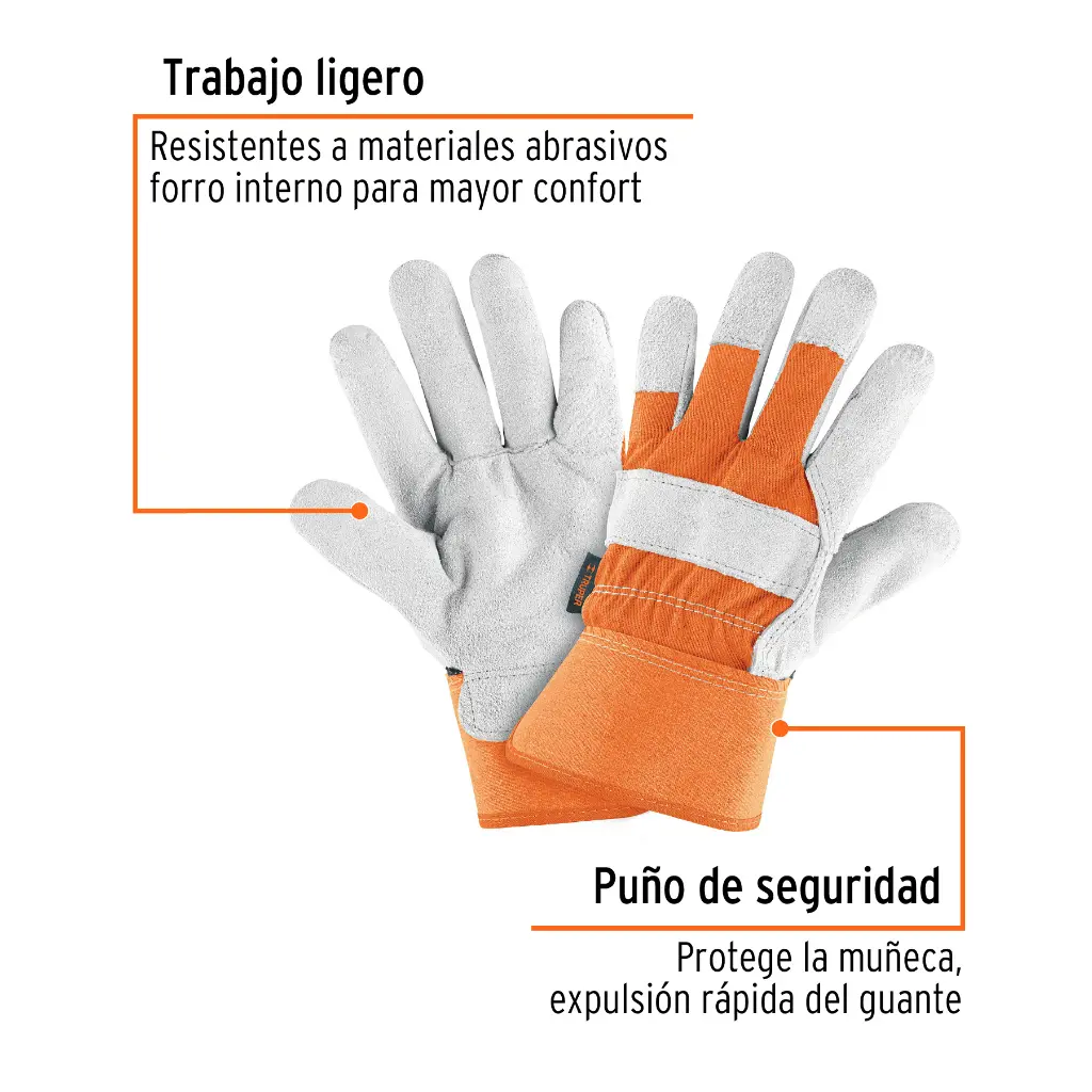 Características
