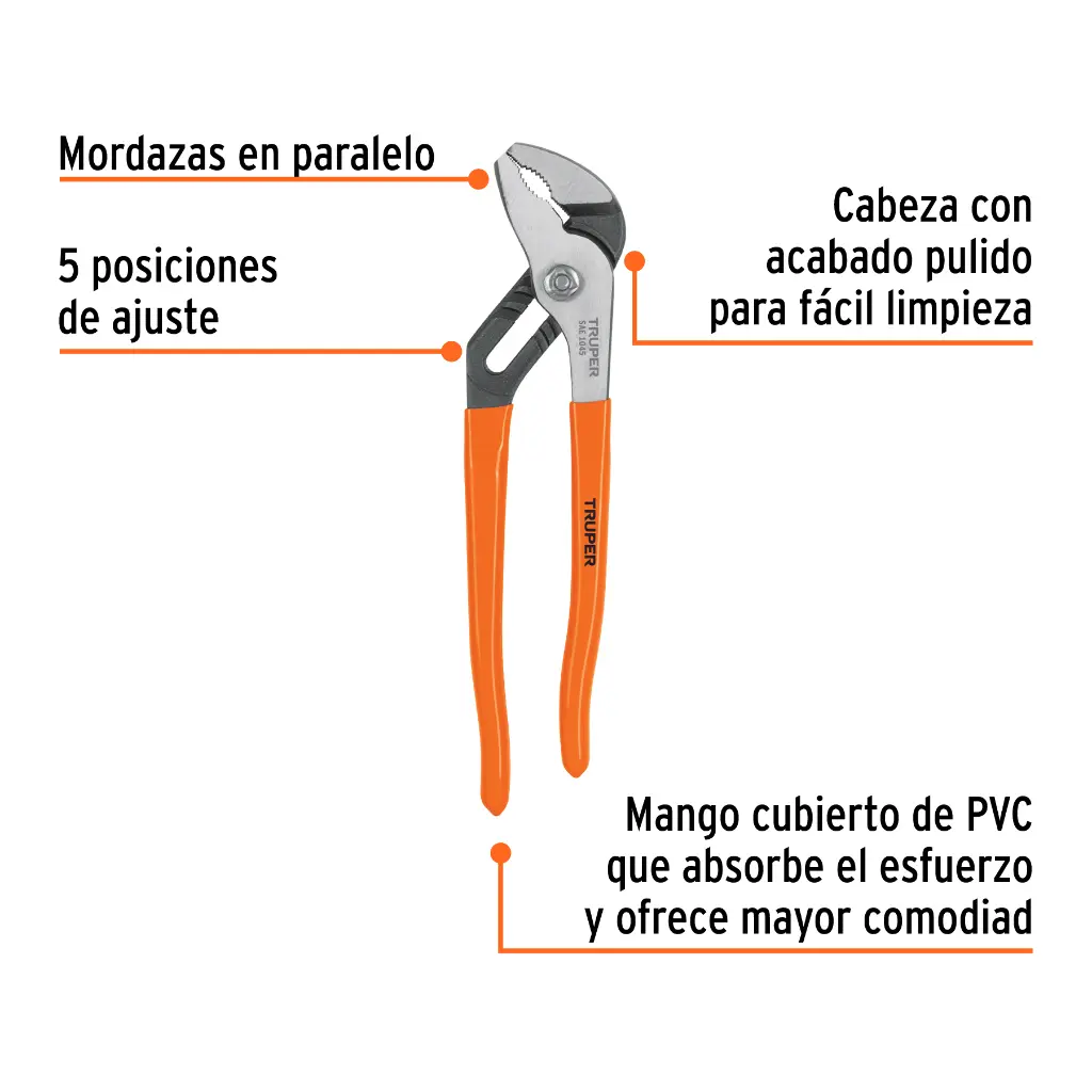 Características