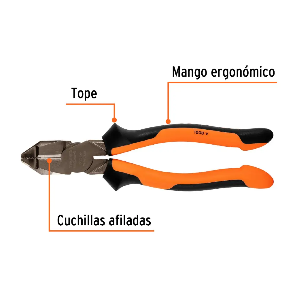 Características