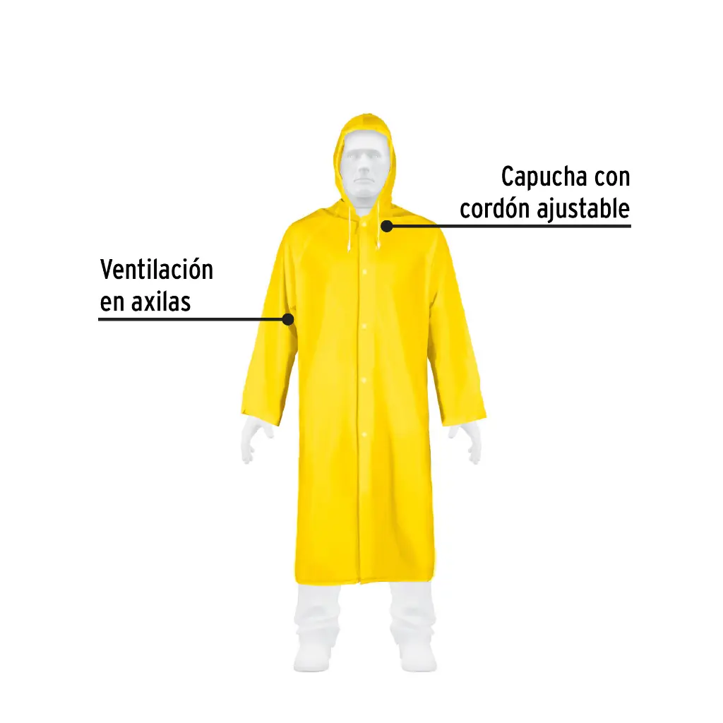 Características