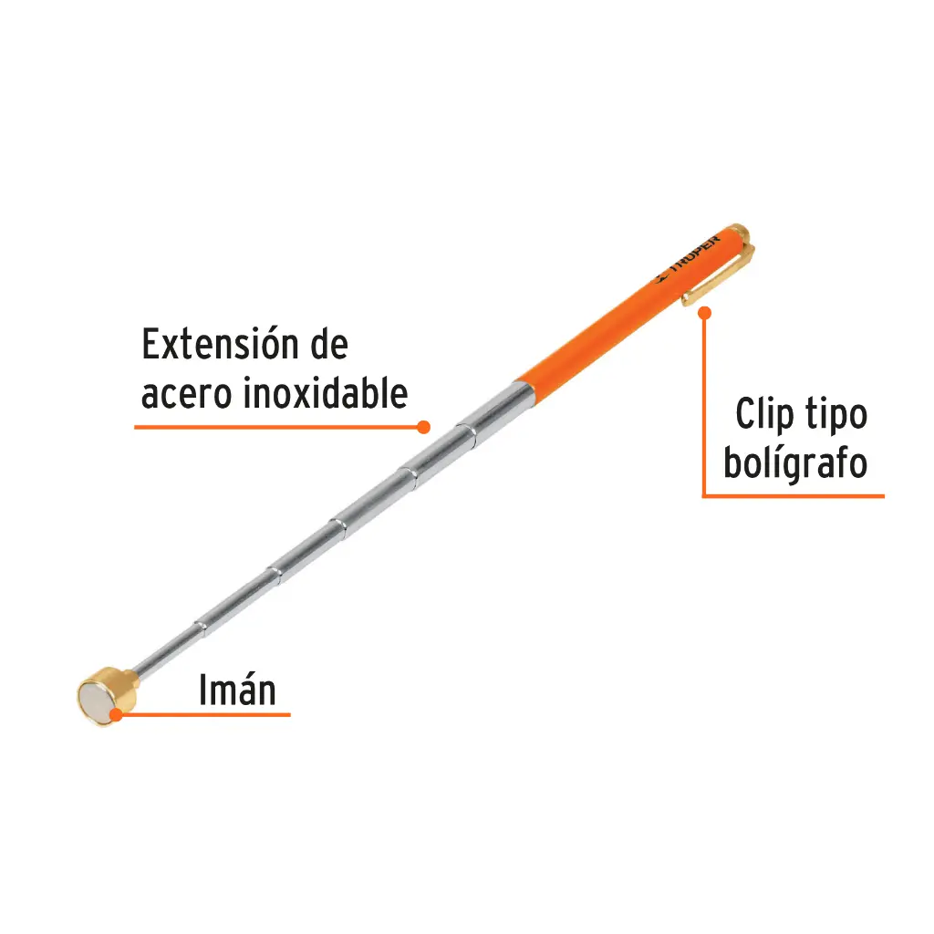 Características