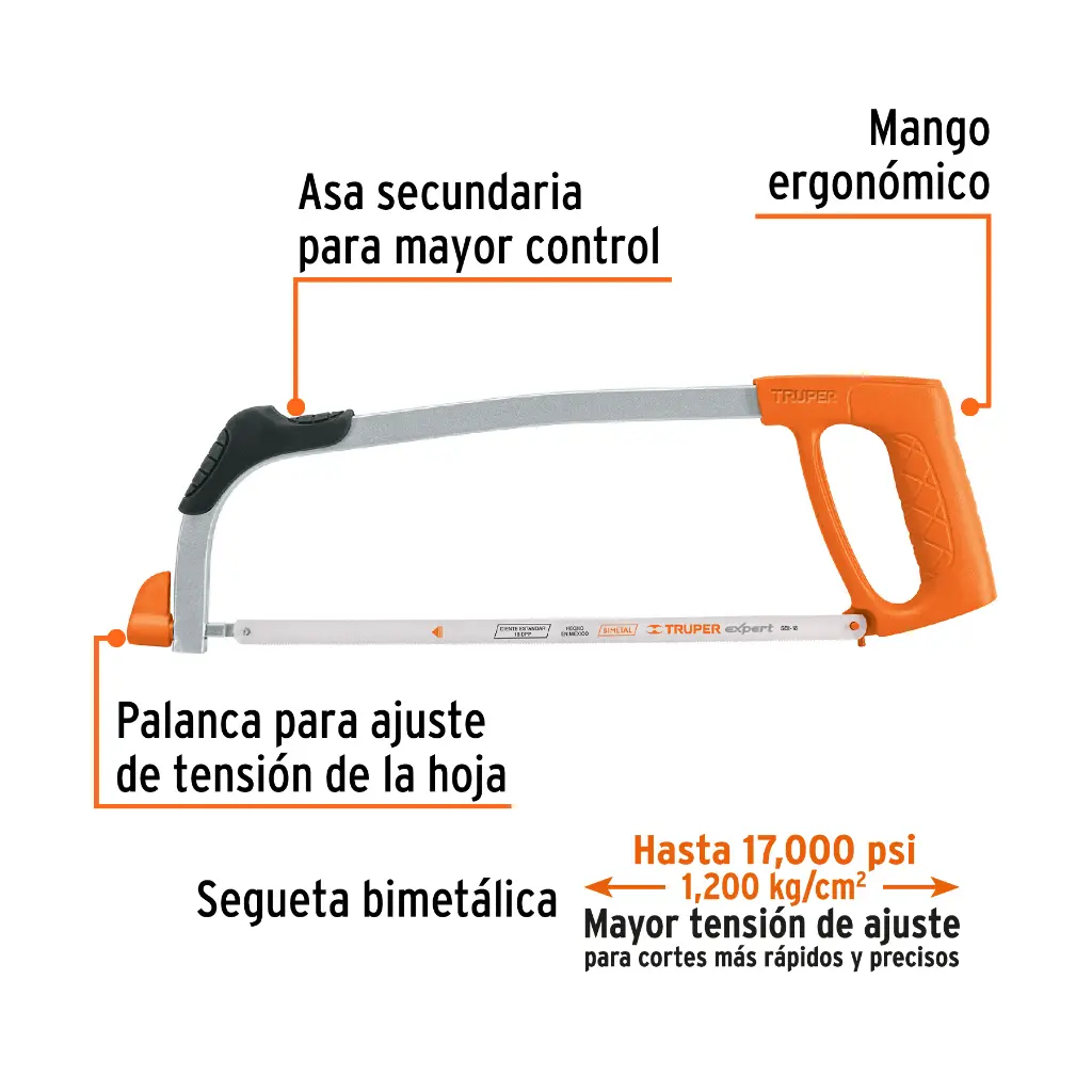 Características