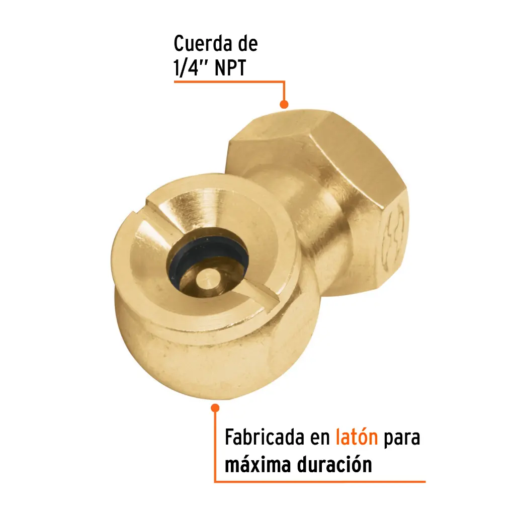 Características