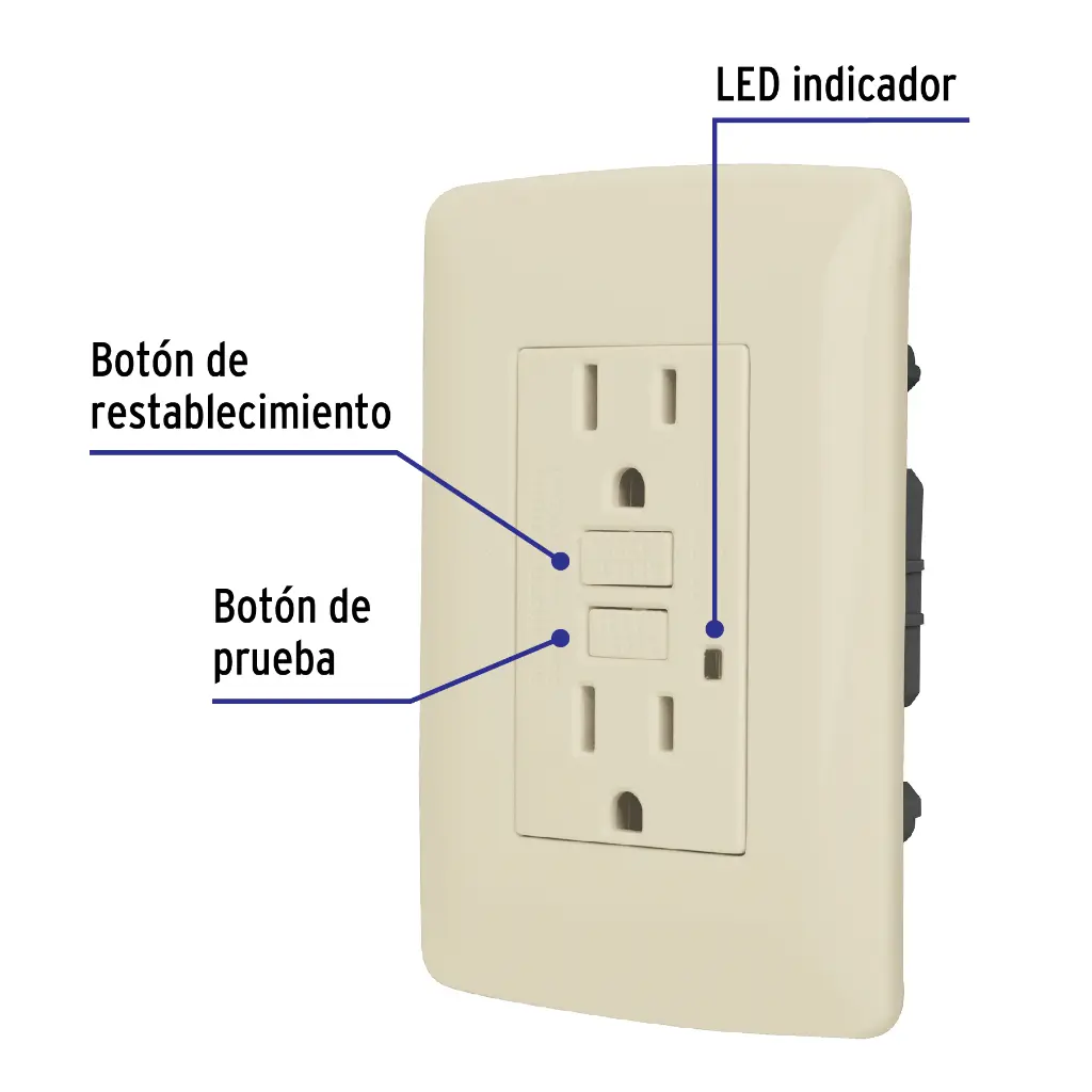 Características