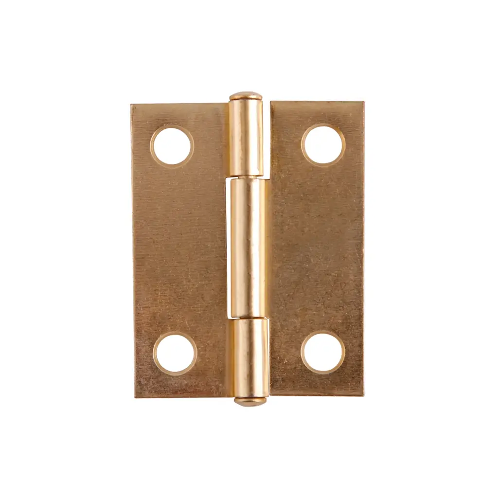 Bisagra Rectangular 1" x 7/8" Latonado, Aksi [106411]