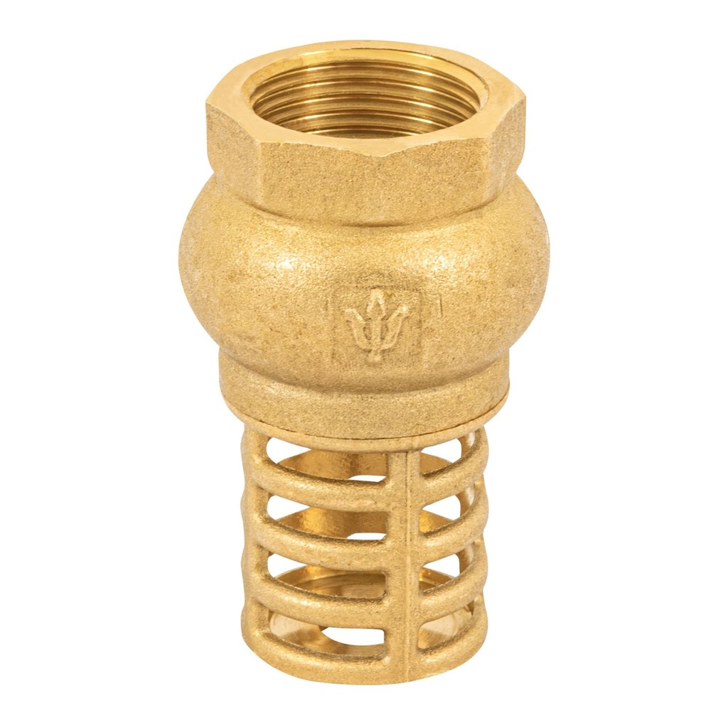 Válvula De Pie/Pichancha 3/4", Rejilla De Latón, Foset [49045]